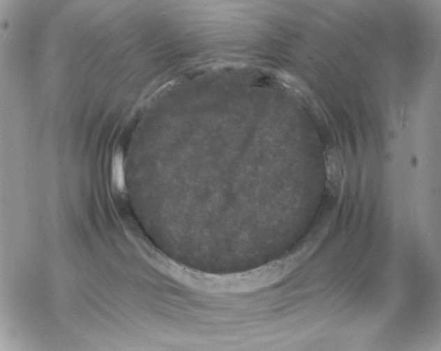 X0000069390046200606021642