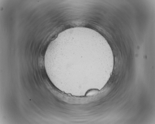 X0000069390048200606021642