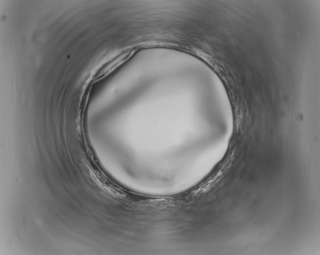 X0000069390050200606021642