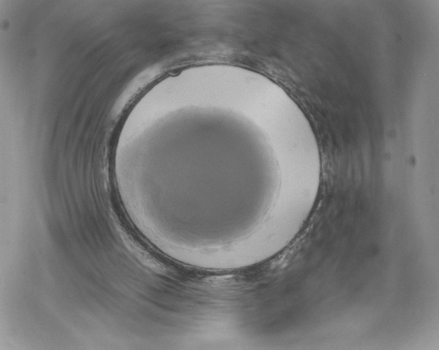 X0000069390054200606021642