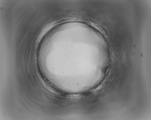 X0000069390055200606021642