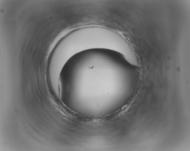 X0000069390056200606021642