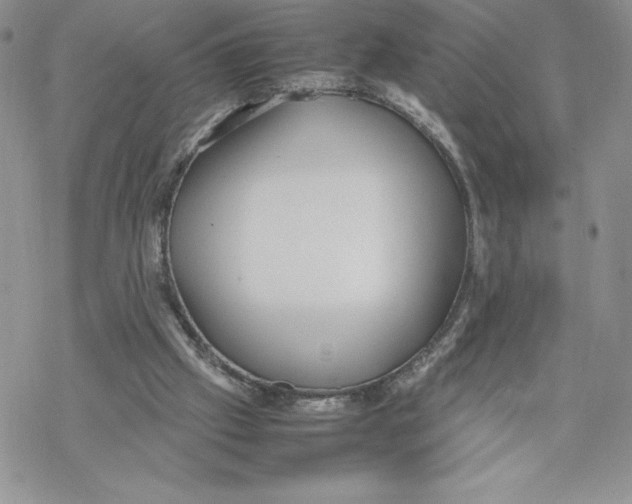 X0000069390057200606021642