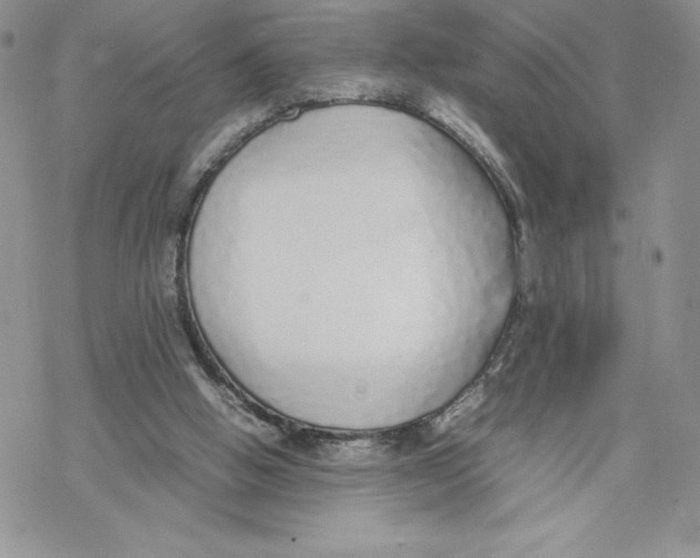 X0000069390058200606021642