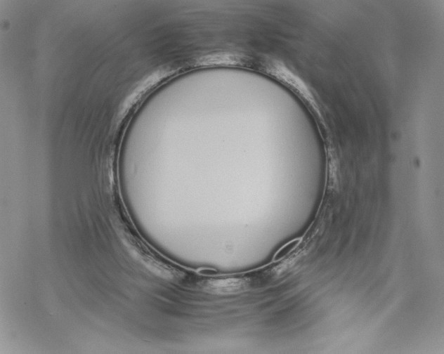 X0000069390059200606021642