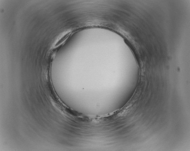 X0000069390060200606021642