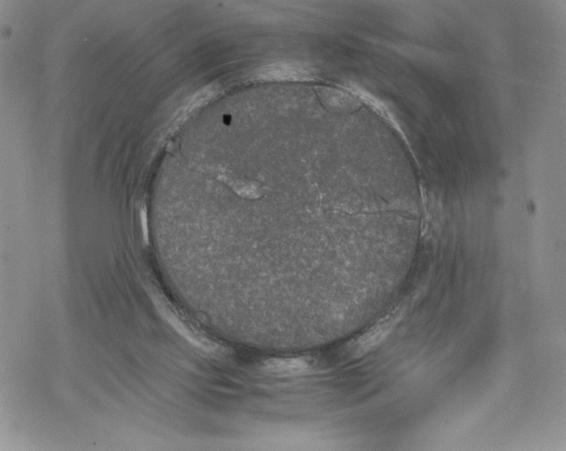 X0000069390061200606021642