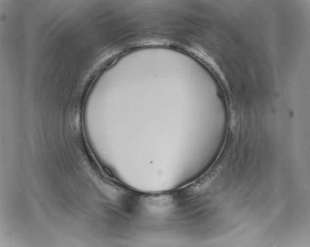 X0000069390063200606021642