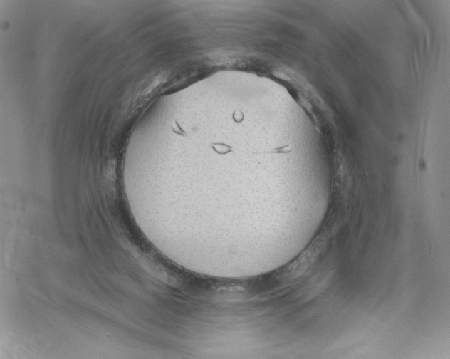 X0000069390066200606021642