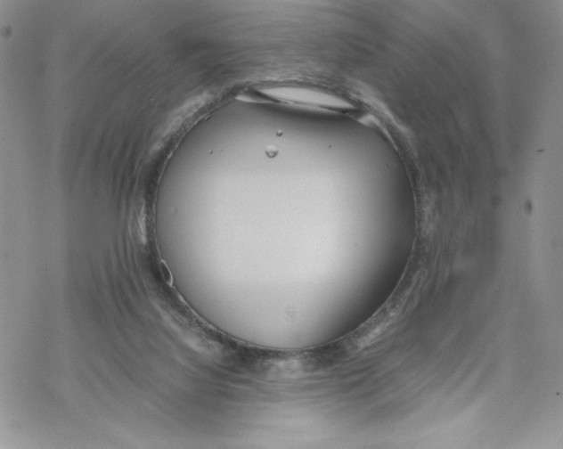 X0000069390068200606021642