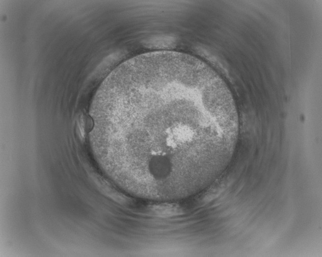 X0000069390069200606021642