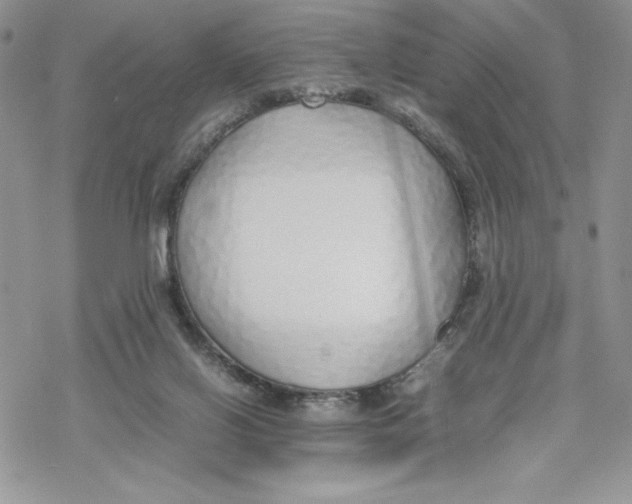 X0000069390070200606021642