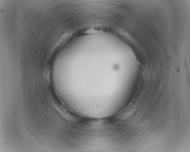 X0000069390072200606021642