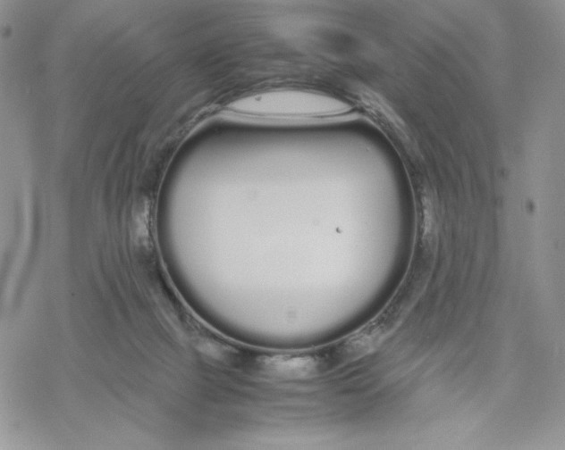 X0000069390073200606021642