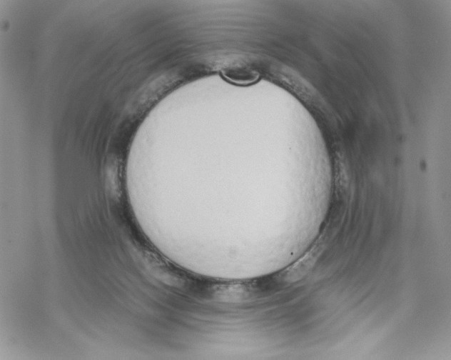 X0000069390074200606021642