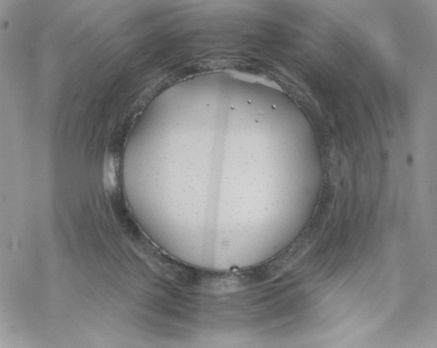 X0000069390075200606021642