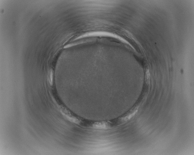 X0000069390076200606021642