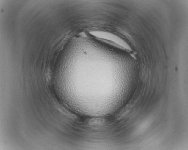 X0000069390077200606021642