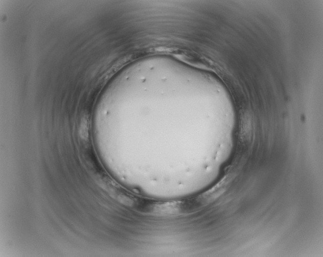 X0000069390078200606021642