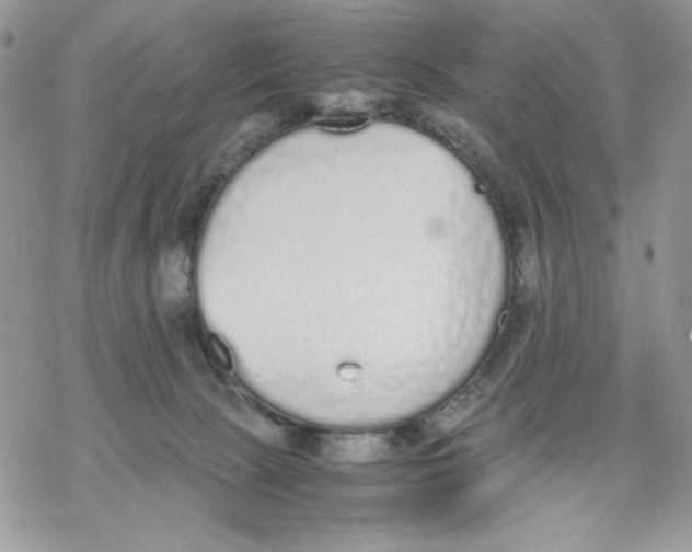 X0000069390081200606021642