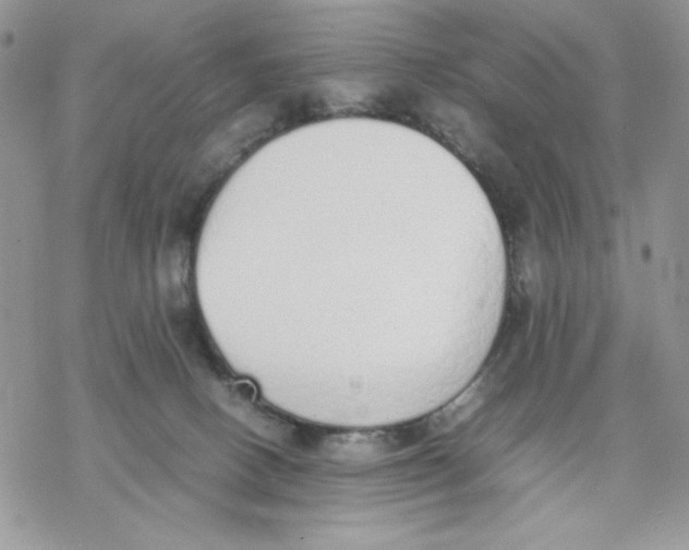 X0000069390082200606021642