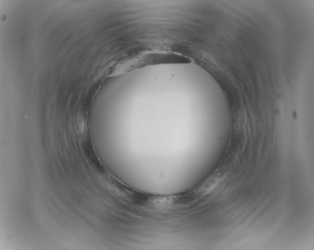 X0000069390084200606021642