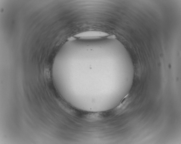 X0000069390086200606021642