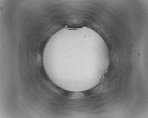 X0000069390087200606021642