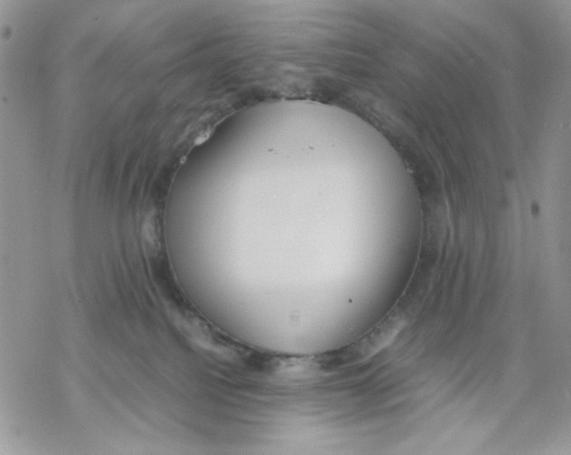 X0000069390088200606021642