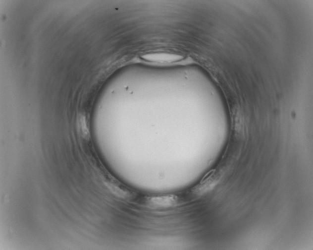 X0000069390089200606021642