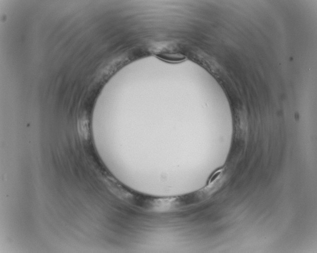 X0000069390090200606021642