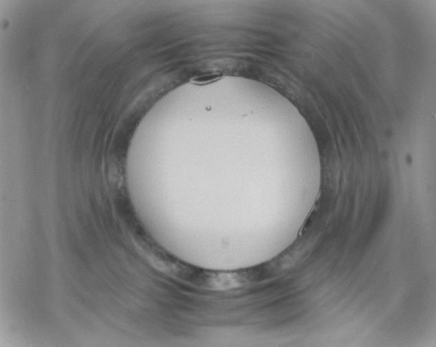 X0000069390091200606021642