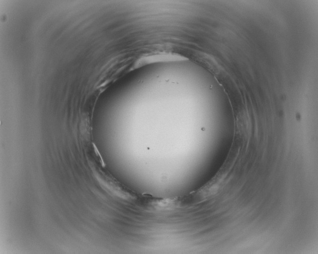 X0000069390092200606021642