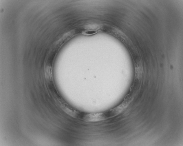 X0000069390093200606021642