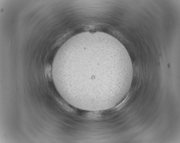 X0000069390094200606021642