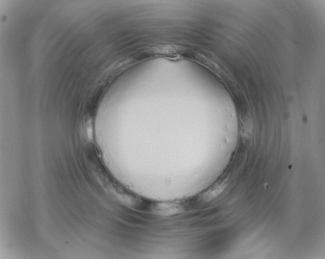 X0000069390095200606021642