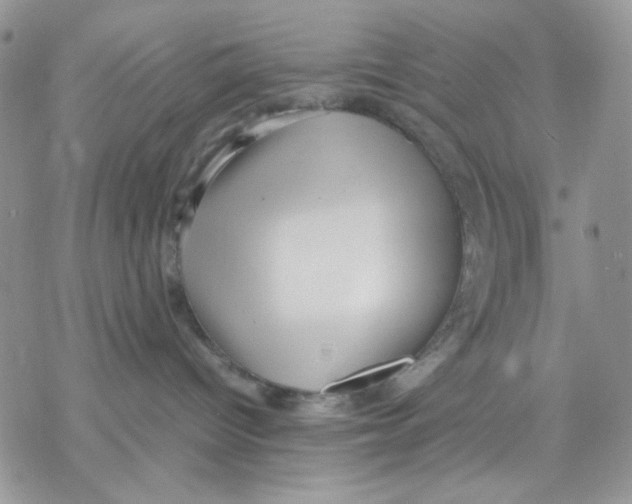 X0000069390096200606021642