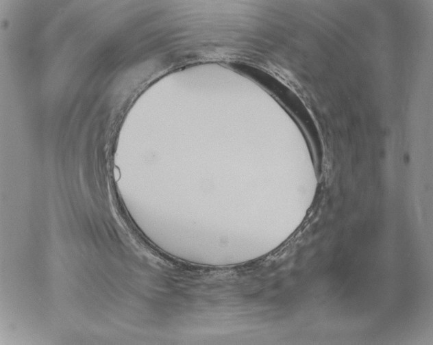 X0000069390097200606021642