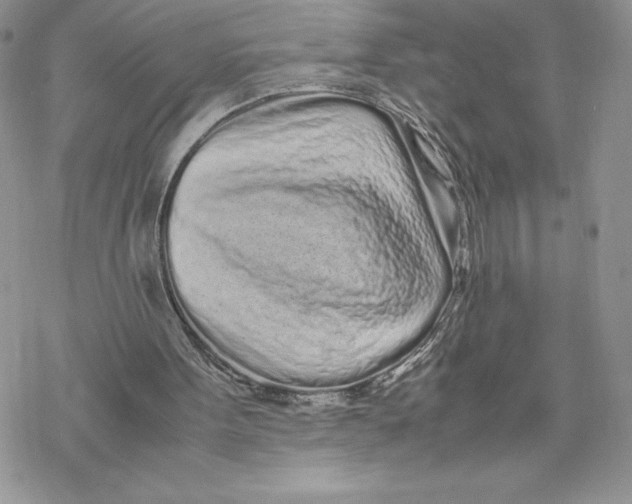 X0000069390099200606021642