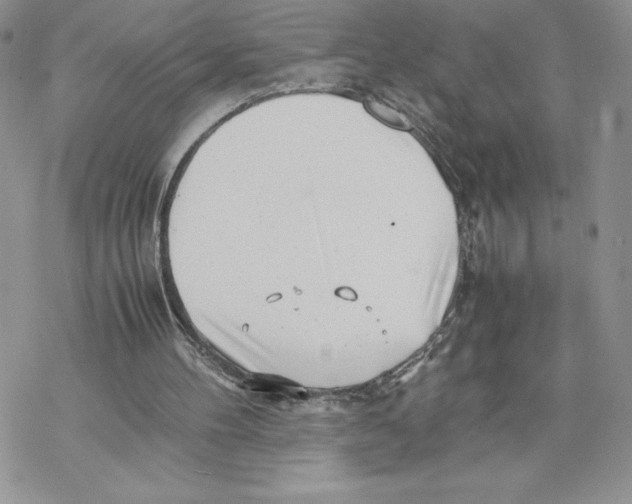 X0000069390100200606021642