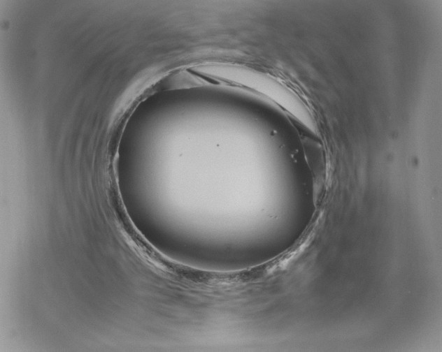 X0000069390101200606021642