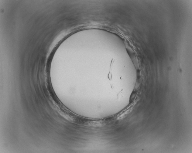 X0000069390102200606021642