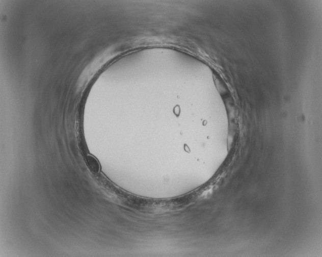 X0000069390103200606021642