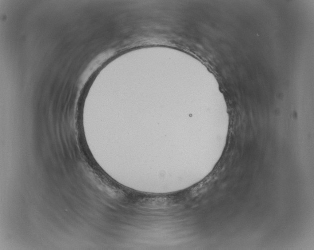 X0000069390104200606021641