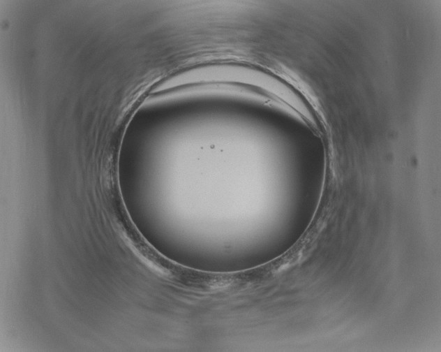 X0000069390105200606021641