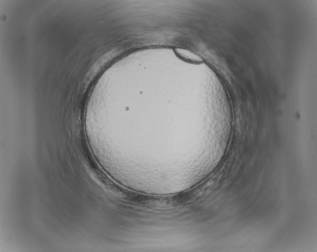 X0000069390107200606021641