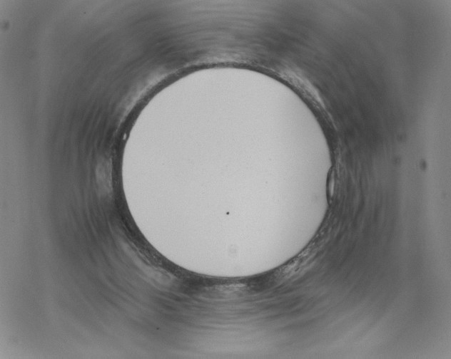 X0000069390108200606021641