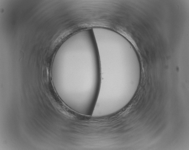 X0000069390109200606021641