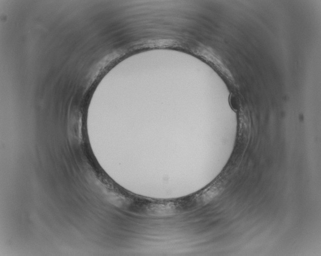 X0000069390110200606021641