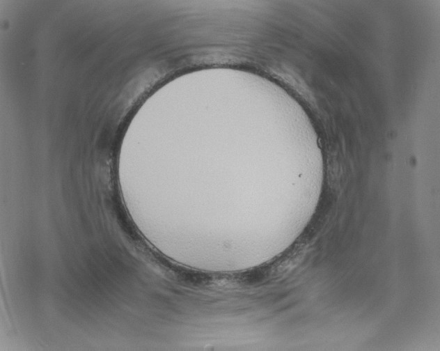 X0000069390111200606021641